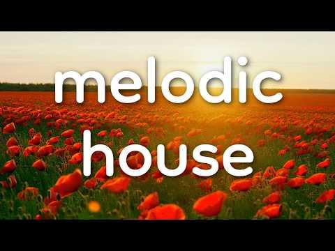 🎵 Melodic house (Royalty Free Music) - "TOMORROW" by Balynt 🇭🇺